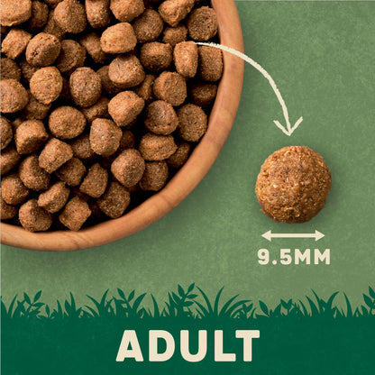 Harringtons Rich in Beef & Rice Adult Dry Dog Food 1.7kg