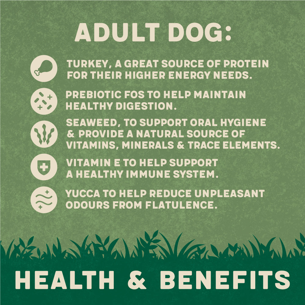 Harringtons Rich in Turkey & Rice Adult Dry Dog Food 15kg