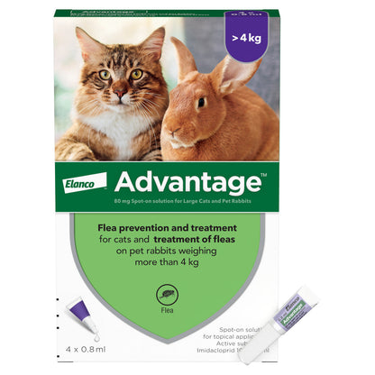 Advantage 80 Spot On Flea Control Large Cats and Rabbits (>4kg) - 4 Pack