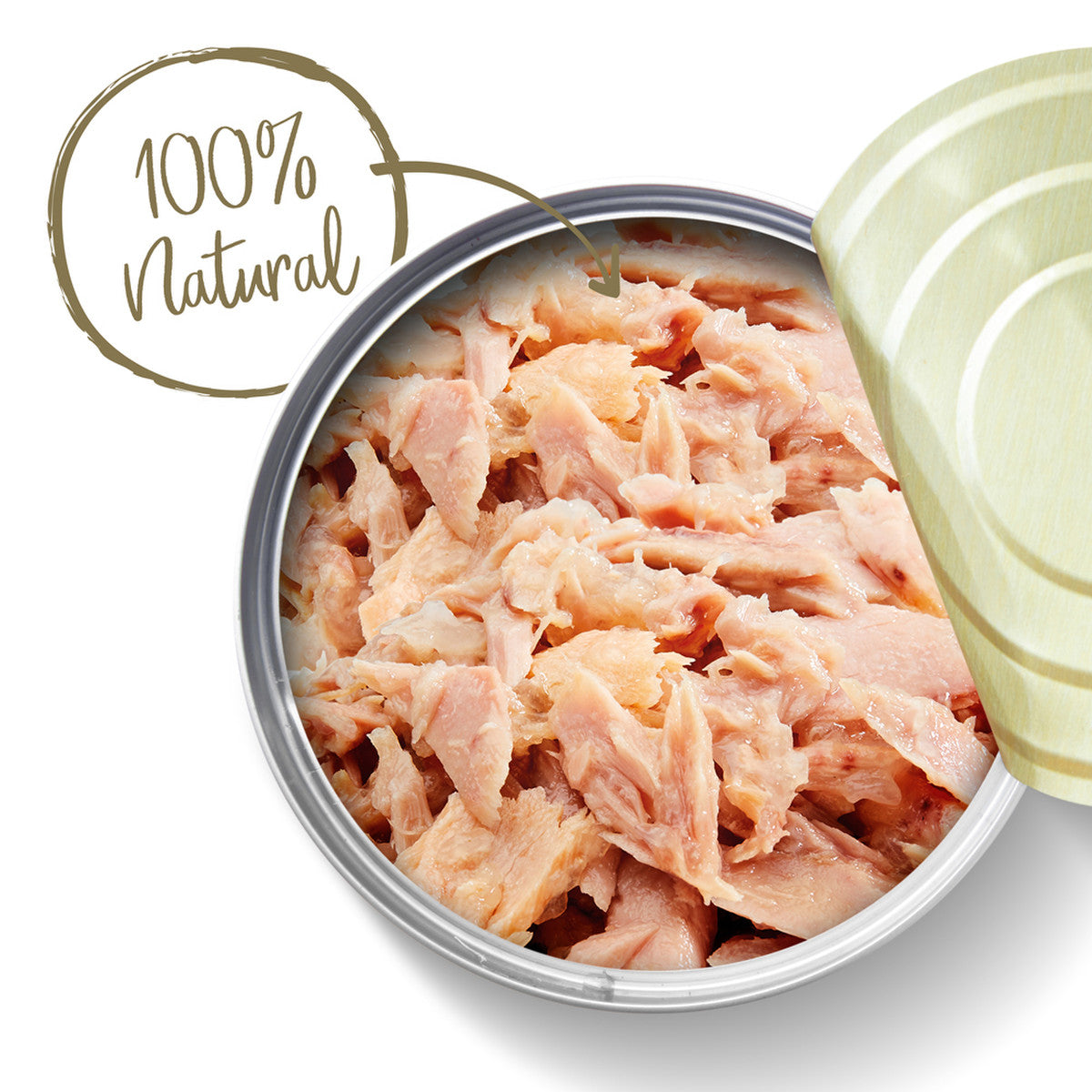 Applaws Adult Tuna Fillet in Broth Wet Cat Food 24 x 70g