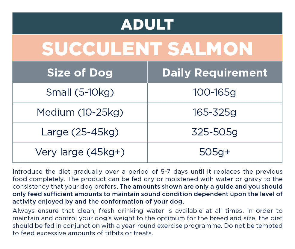 Autarky Adult Succulent Salmon Dry Dog Food