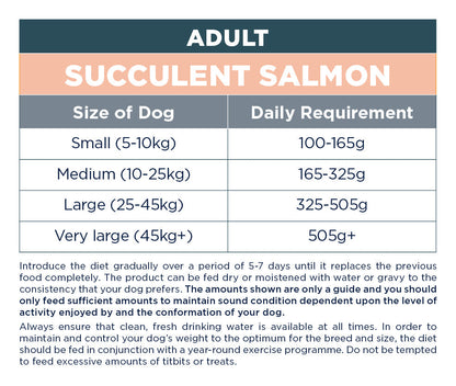 Autarky Adult Succulent Salmon Dry Dog Food