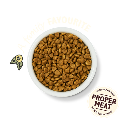Lily's Kitchen Adult Chicken Casserole Dry Cat Food