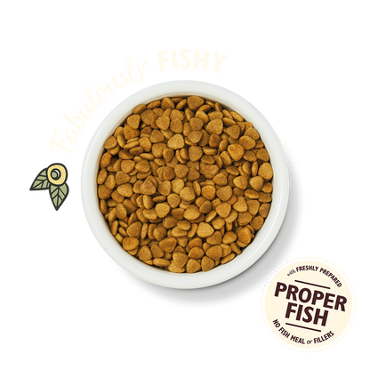 Lily's Kitchen Adult Fishermans Feast White Fish & Salmon Dry Cat Food