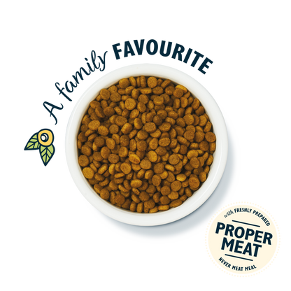 Lily's Kitchen White Fish with Turkey & Trout Senior Dry Cat Food 800g