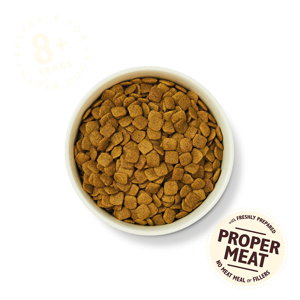 Lily's Kitchen Senior Recipe Turkey & Trout Dry Dog Food