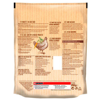 Beyond Chicken Dry Cat Food - 850g