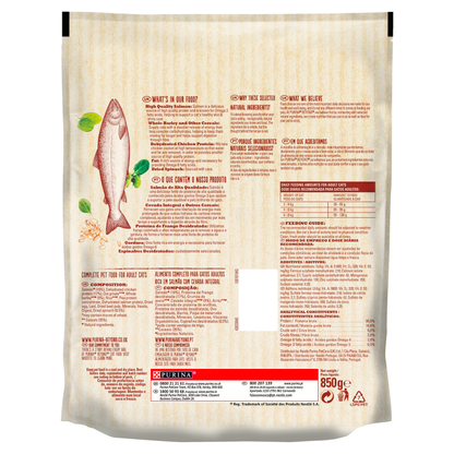 Beyond Salmon Dry Cat Food - 850g