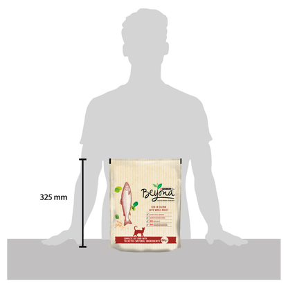 Beyond Salmon Dry Cat Food - 850g