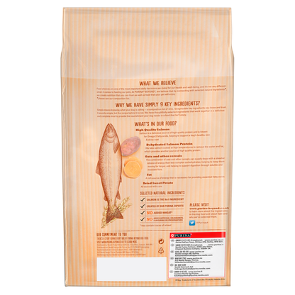 Beyond Superfood Blend Salmon/ Oats & Sweet Potatoes Adult Dog Food - 10kg