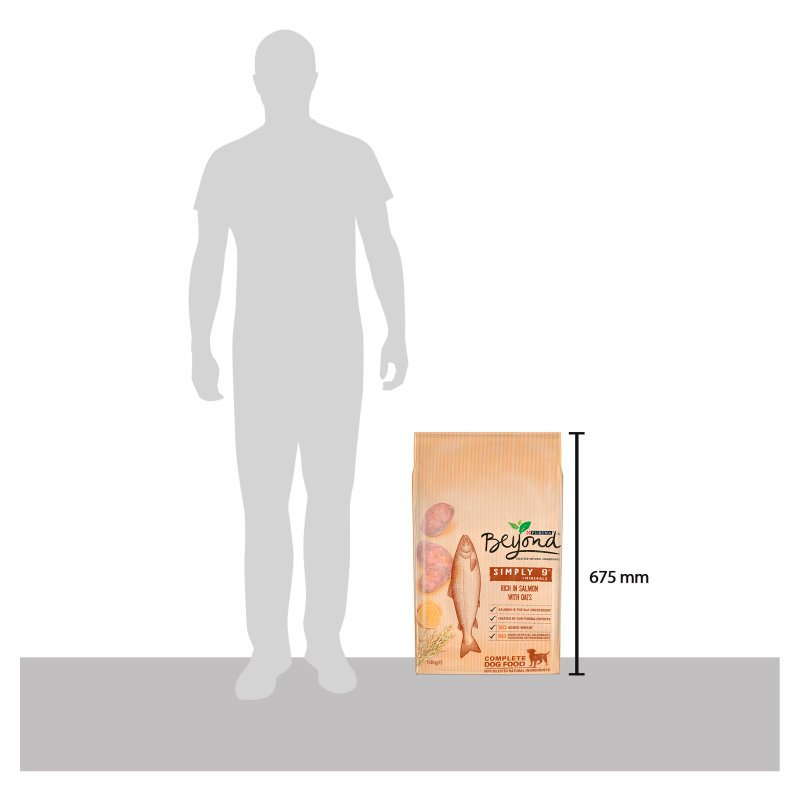 Beyond Superfood Blend Salmon/ Oats & Sweet Potatoes Adult Dog Food - 10kg