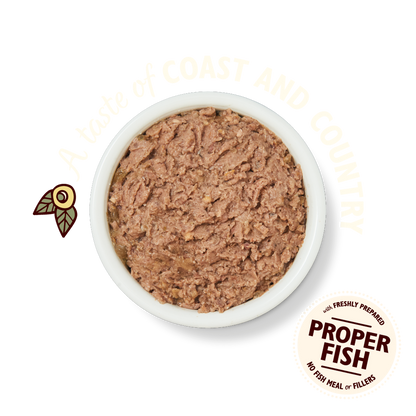 Lily's Kitchen Salmon & Chicken Paté Wet Cat Food
