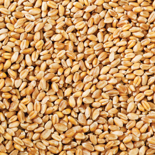 Copdock Mill Whole Wheat Poultry Food 20kg