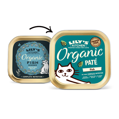 Lily's Kitchen Organic Fish Paté Wet Cat Food