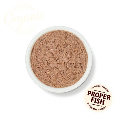 Lily's Kitchen Organic Fish Paté Wet Cat Food
