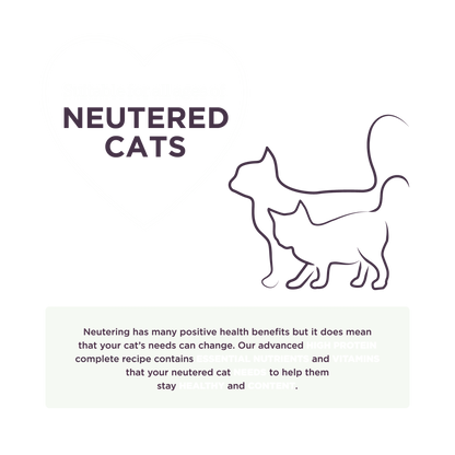 Burgess Neutered Chicken Dry Cat Food