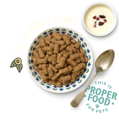 Lily's Kitchen Breakfast Crunch Chicken with Turkey Fruit & Yoghurt Dry Dog Food 800g