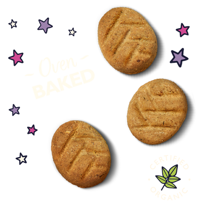 Lily's Kitchen Organic Bedtime Biscuits Dog Treats