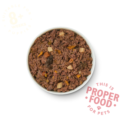 Lily's Kitchen Turkey & Duck Puppy Recipe Wet Dog Food