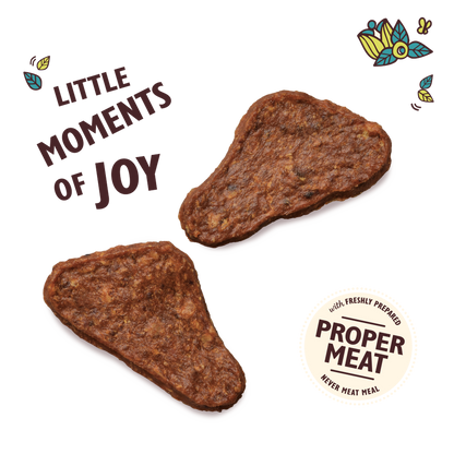 Lily's Kitchen The Mighty Duck Mini Jerky Dog Treats
