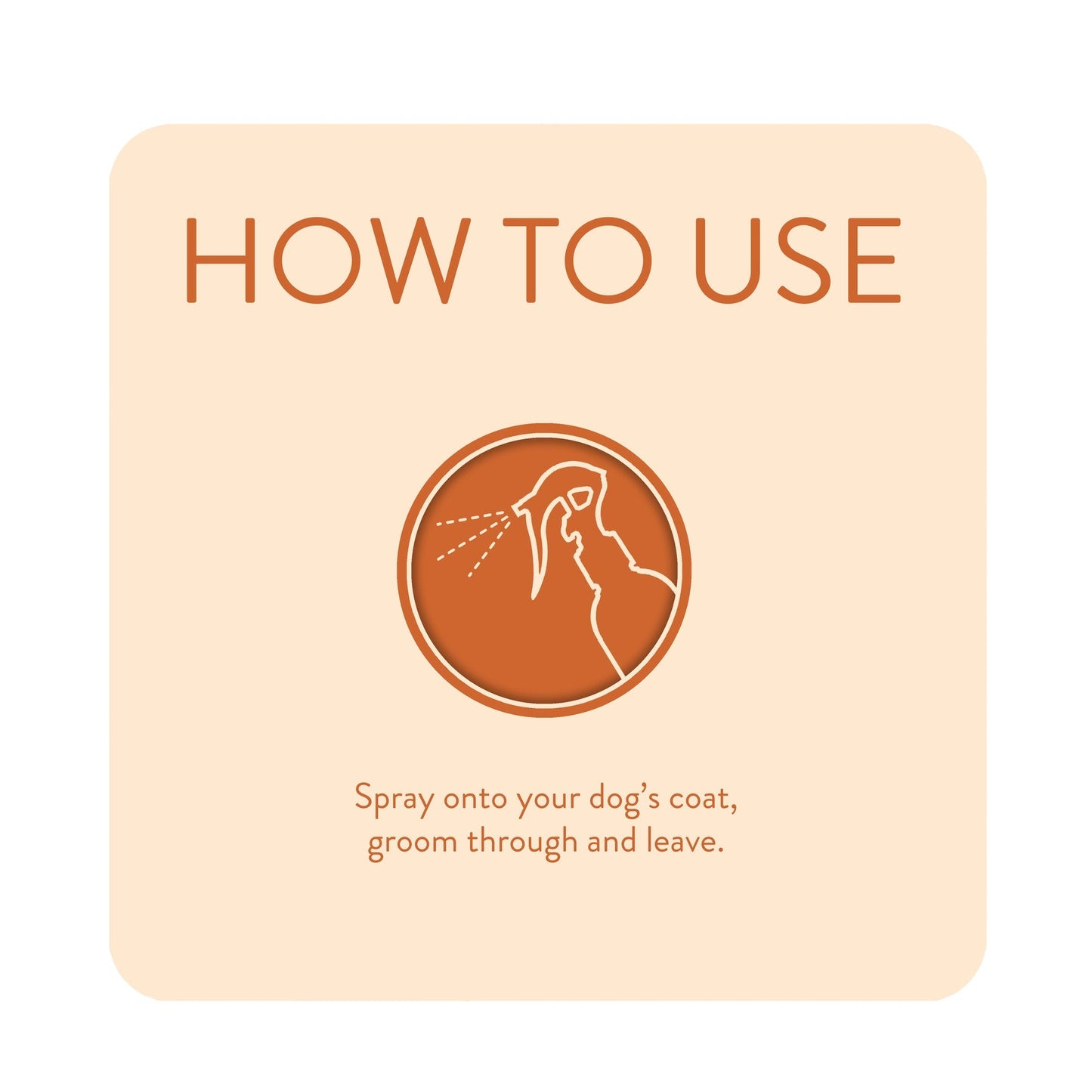 Animology Dirty Dawg No Rinse Dog Shampoo 250ml
