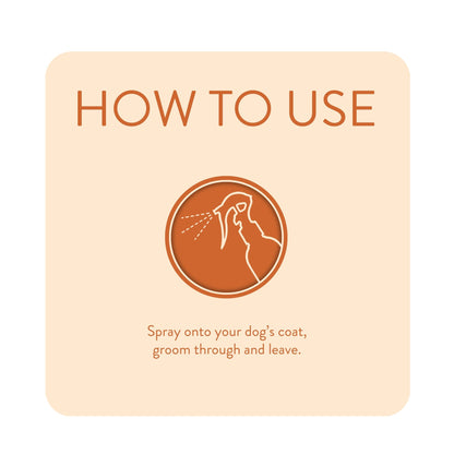 Animology Dirty Dawg No Rinse Dog Shampoo 250ml