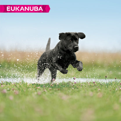 Eukanuba Developing Junior Large Breed Chicken Dry Dog Food - 12kg