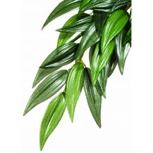 Exo Terra Silk Ruscus Plant Medium