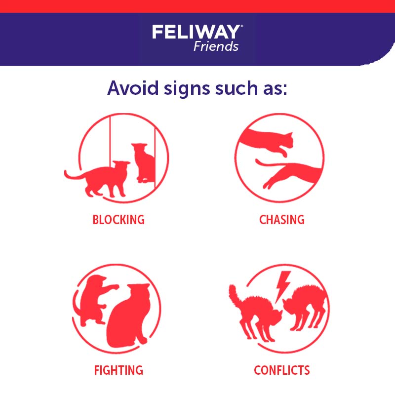 Feliway Friends Appeasing Diffuser Refill for Cats 48ml