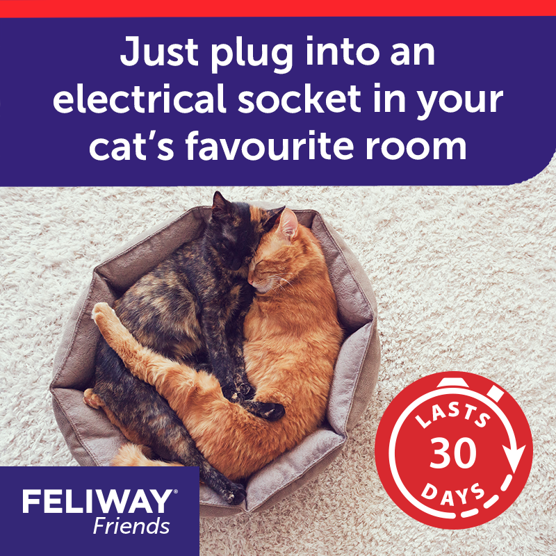 Feliway Friends Appeasing Diffuser Refill for Cats 48ml