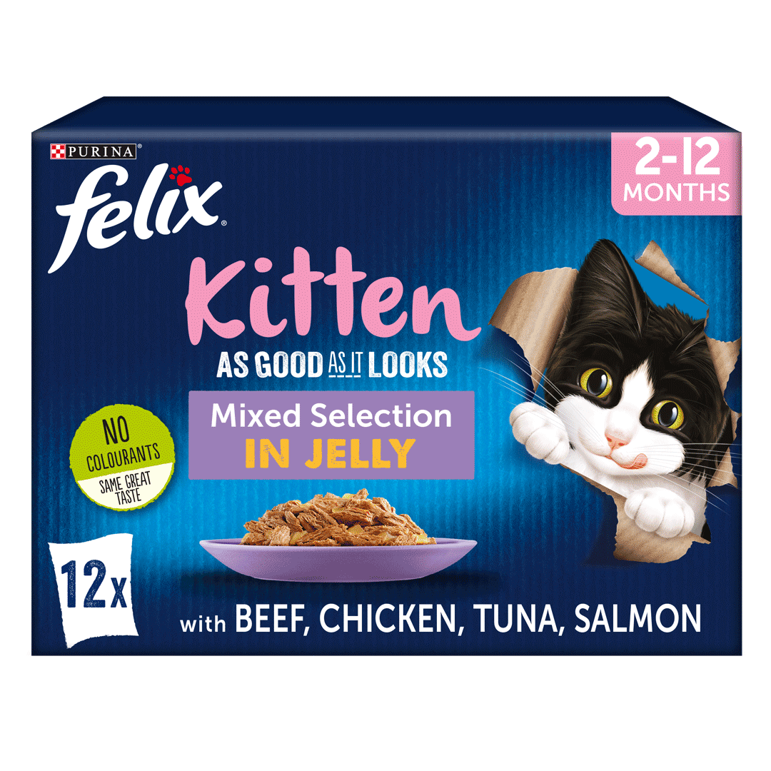 Felix As Good As it Looks Kitten Mixed Selection in Jelly Wet Cat Food 12 x 100g