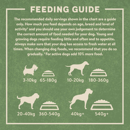 Harringtons Rich in Salmon & Rice Adult Dry Dog Food 12kg