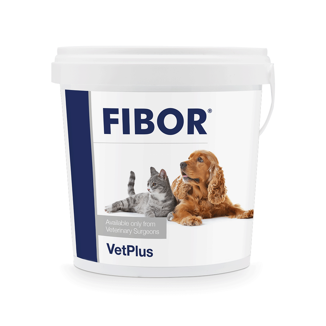 VetPlus Fibor Supplement for Dogs & Cats 500g