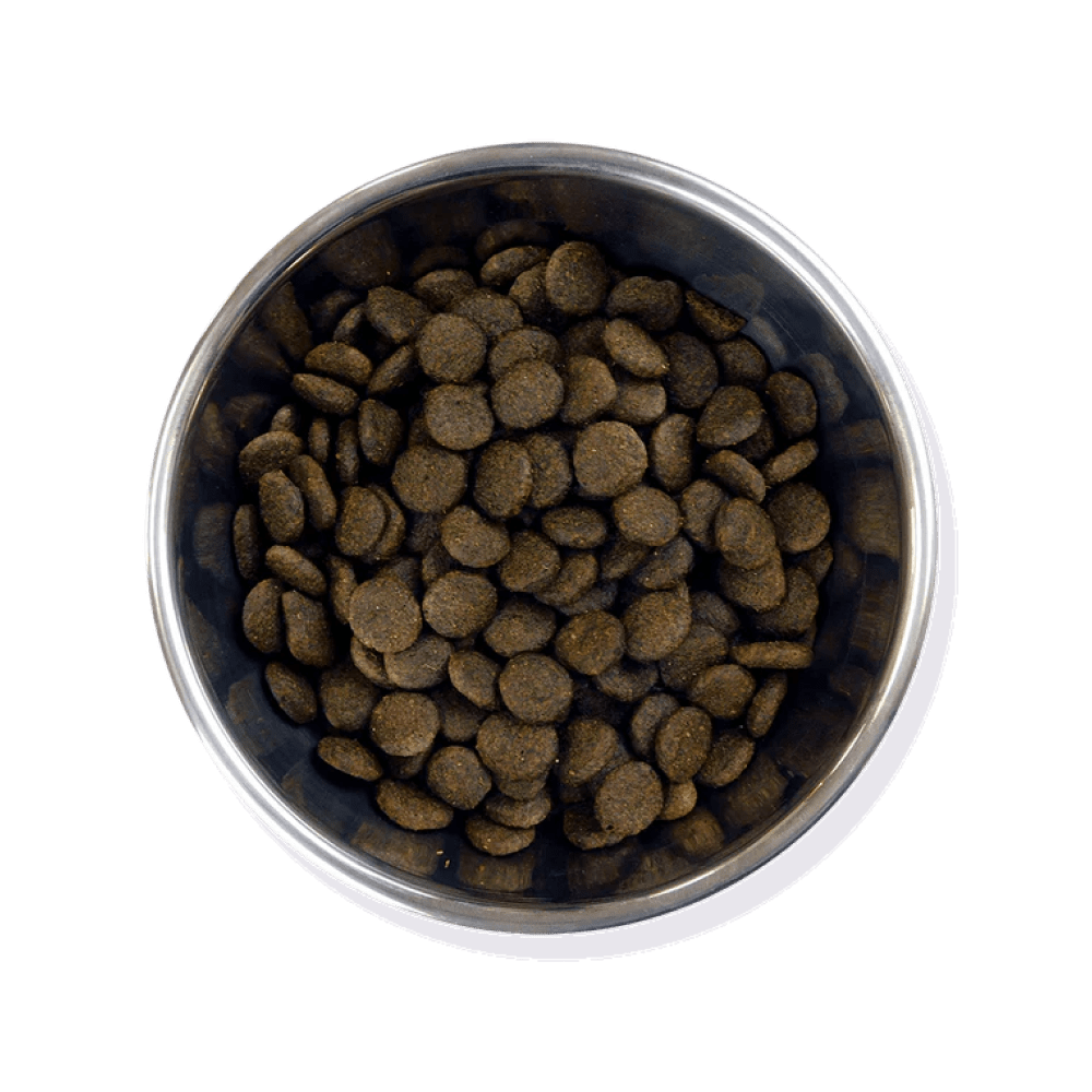 Barking Heads Fish N Delish Adult Dry Dog Food