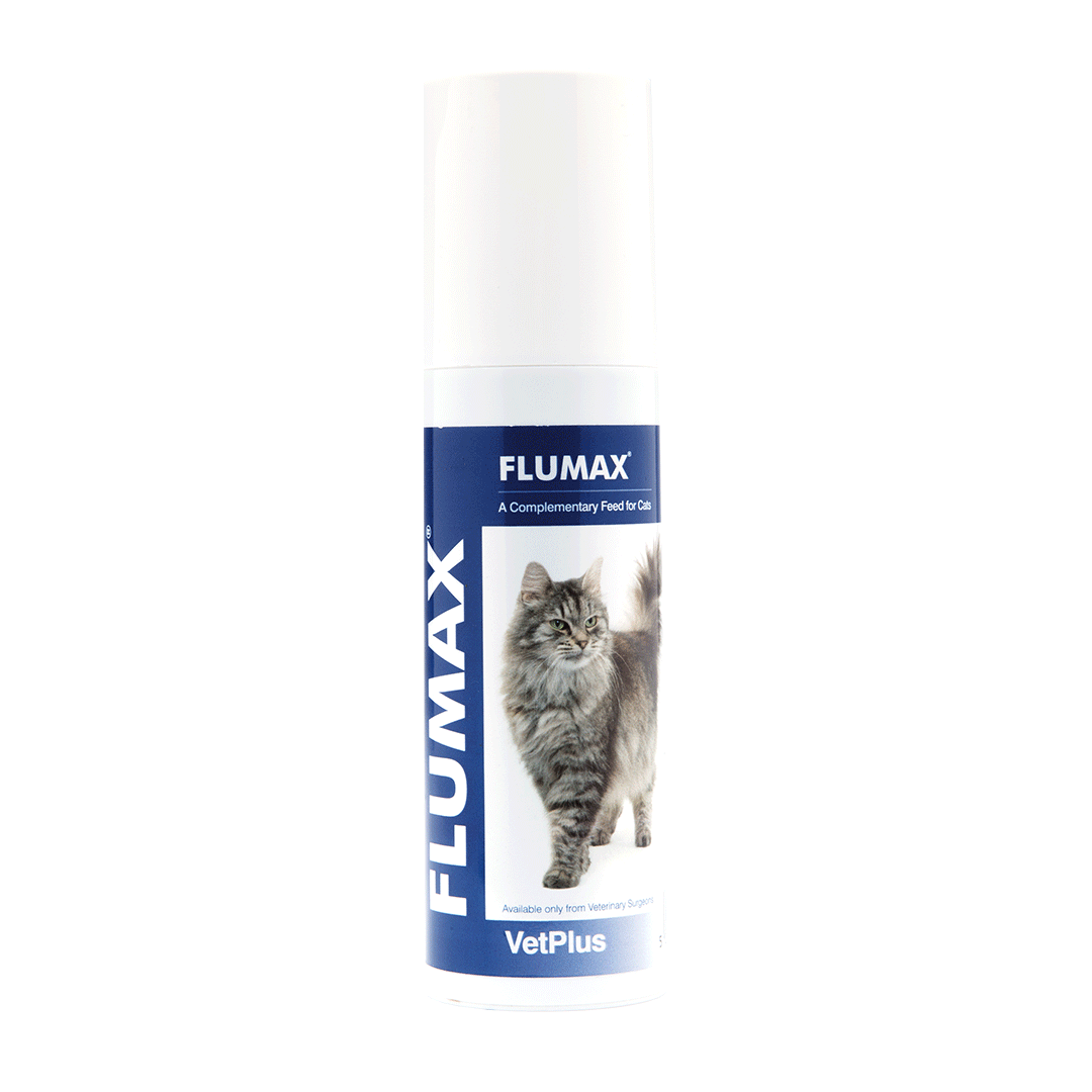 VetPlus Flumax Respiratory Health in Cats 150ml
