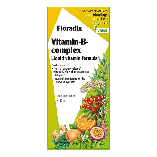 Floradix Vitamin B Complex Liquid Formula 250 ml