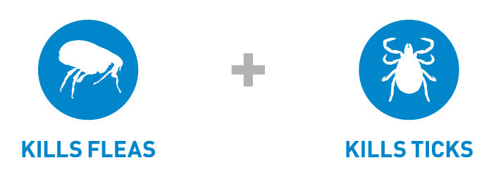 Frontline Spot On Flea & Tick Treatment Large Dog (20-40kg) - 6 pack