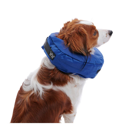 Kruuse Buster Inflatable Collar Blue Medium