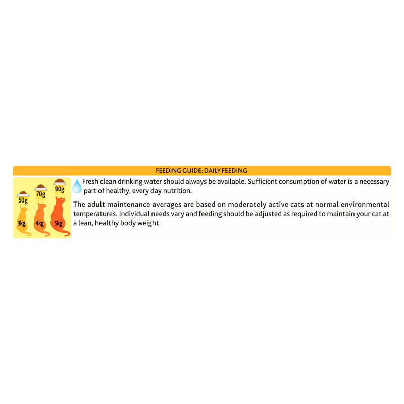 Go Cat Crunchy and Tender Chicken Turkey & Veg Dry Cat Food - 800g