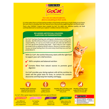 Go Cat Turkey Chicken and Veg Adult Dry Cat Food 340g