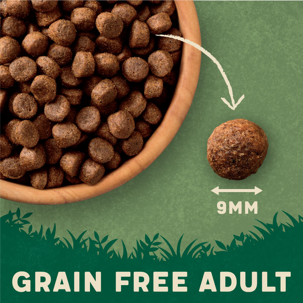 Harringtons Grain Free Turkey & Sweet Potato Adult Dry Dog Food 15kg