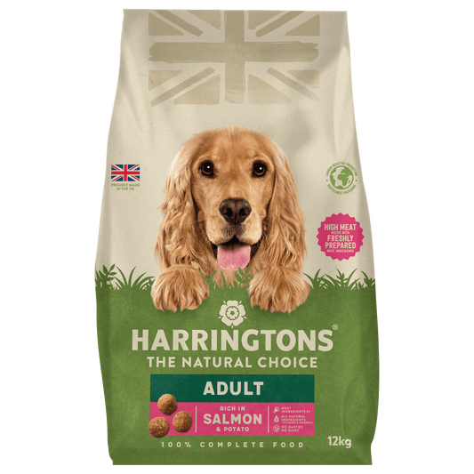 Harringtons Rich in Salmon & Rice Adult Dry Dog Food 12kg