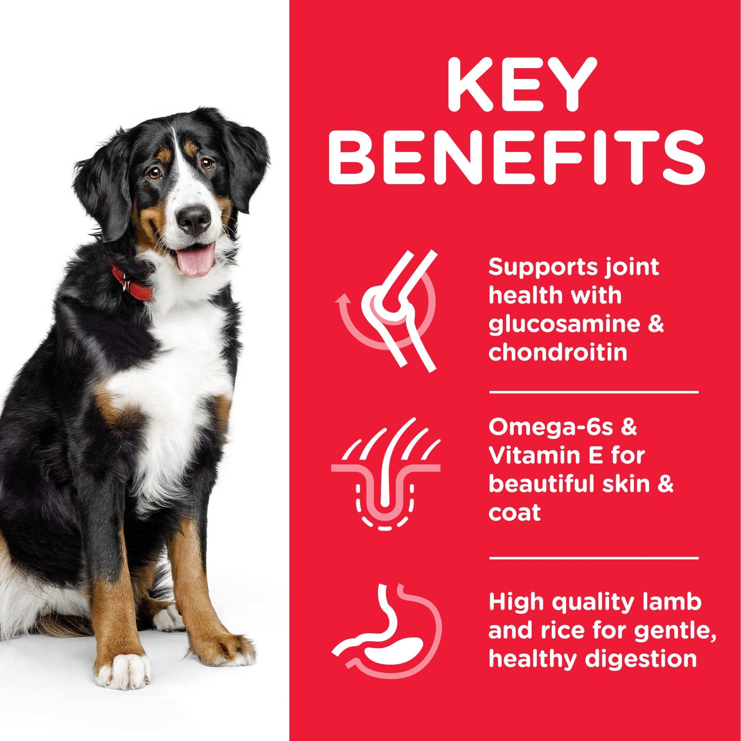 [Clearance Sale] Hill's Science Plan Adult Large Breed with Chicken Dry Dog Food 14kg