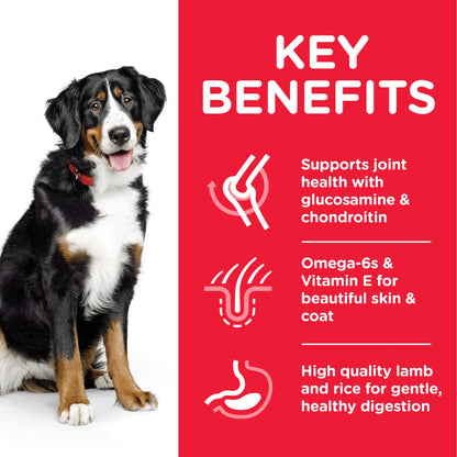 [Clearance Sale] Hill's Science Plan Adult Large Breed with Chicken Dry Dog Food 14kg
