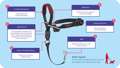 Halti Optifit Headcollar for Dogs Medium