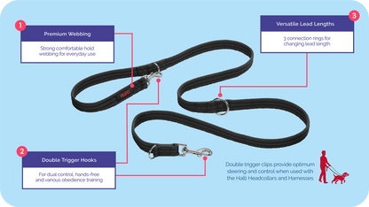 Halti Training Lead for Dog
