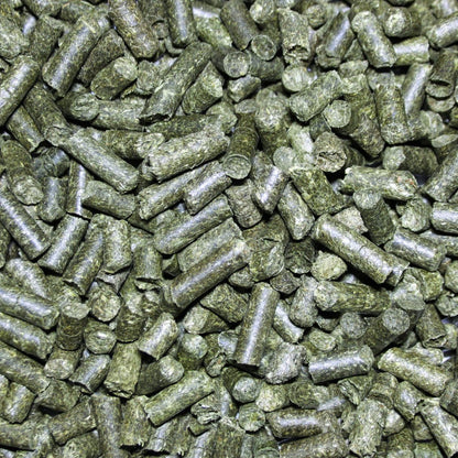 Pettex Reptile Substrate Herbivore Bedding 10L