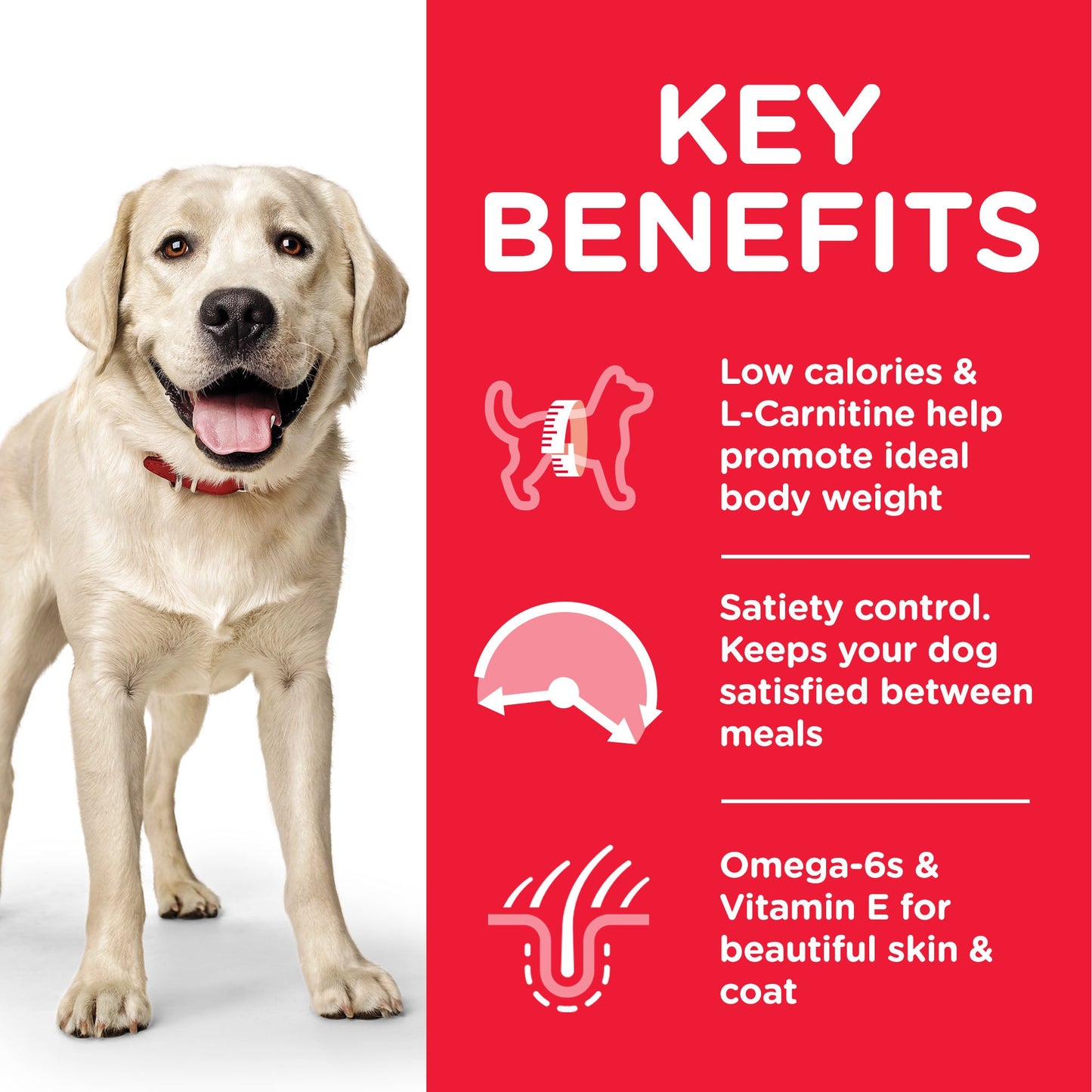 Hill's Science Plan Adult Light Large Breed with Chicken Dry Dog Food 14kg