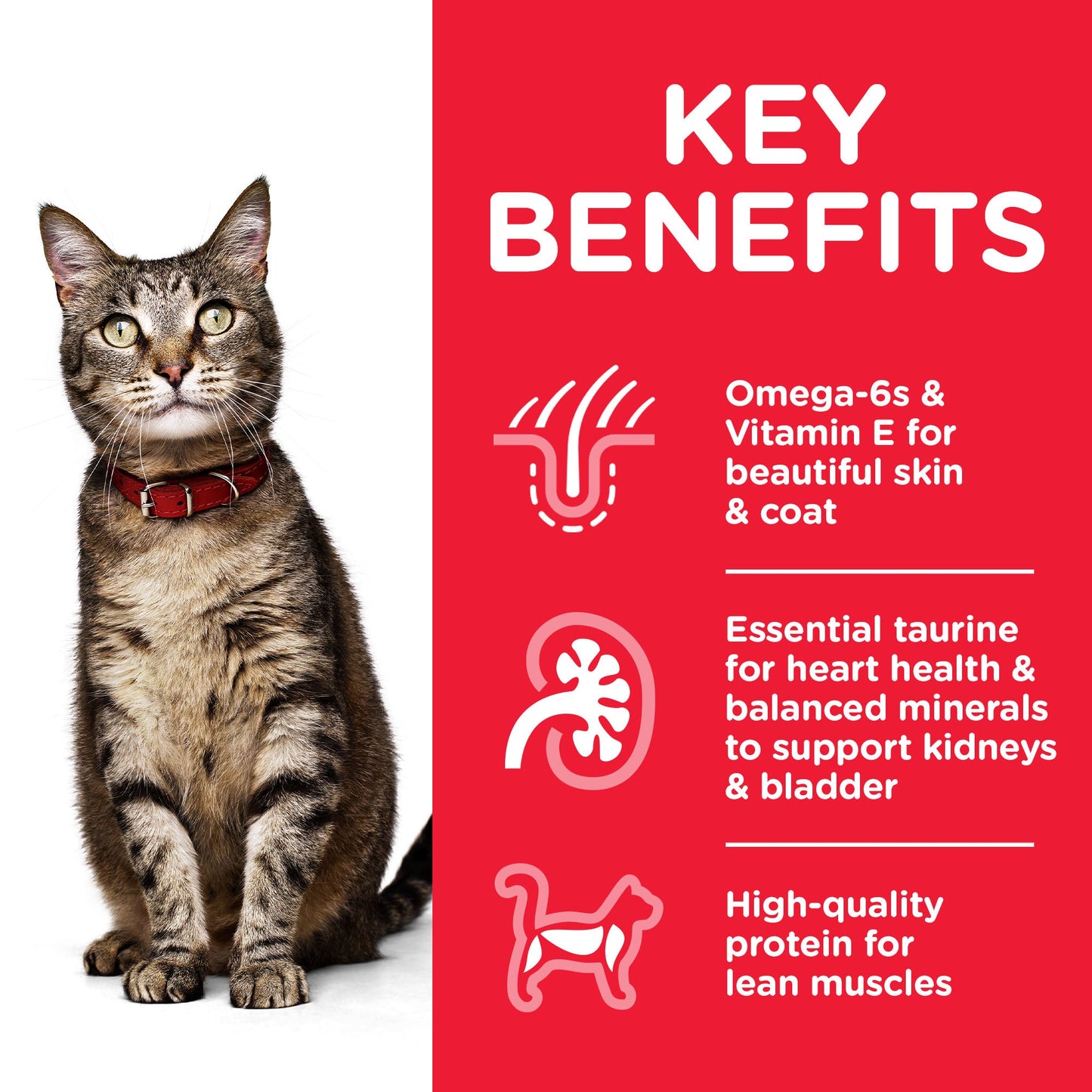 [Clearance Sale] Hill's Science Plan Adult Chicken Dry Cat Food 3kg