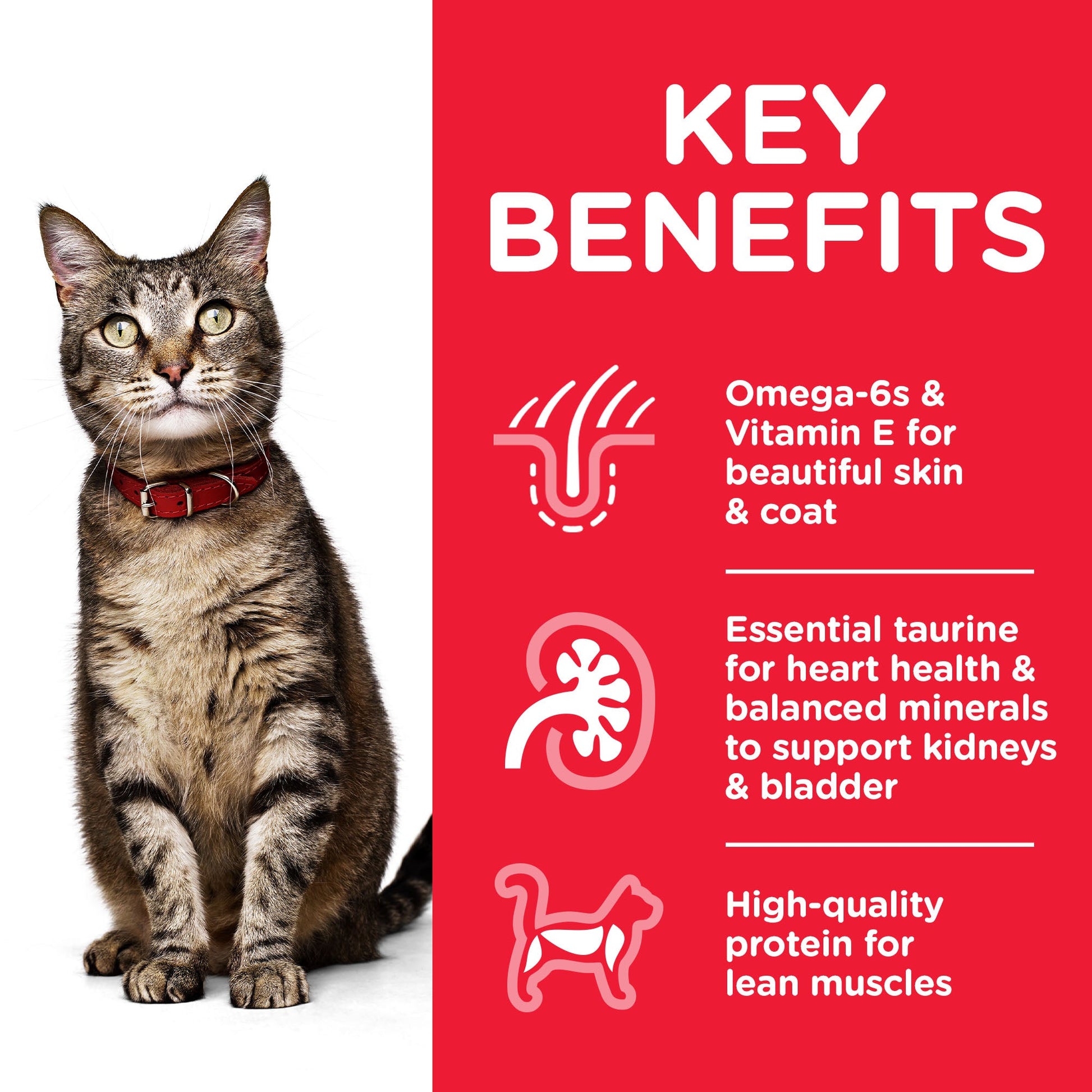 Hill's Science Plan Adult Optimal Care Tuna Dry Cat Food - 1.5kg